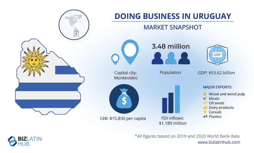 a snapshot of the market in Uruguay for an article about Key Steps in the Business Registration Process in Uruguay